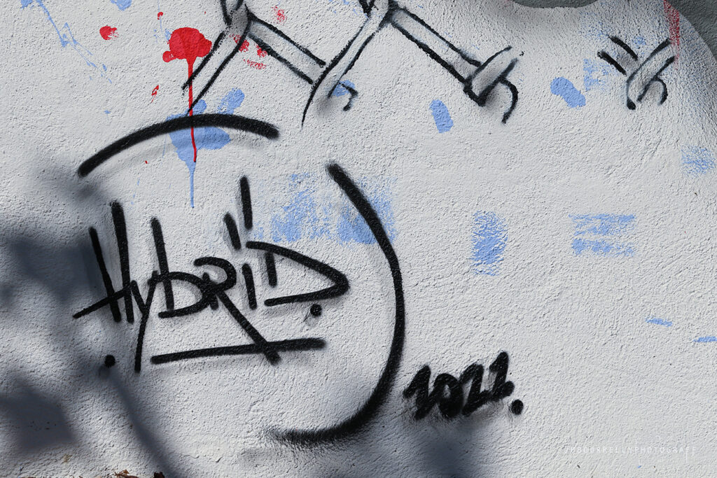 Fresque Graffiti Particulier - Marseille, France @h.y.b.r.i.d_art ©jubourrellyphotograff